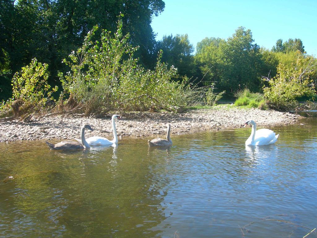 Moulin Des Sandaux Sainte-Foy-la-Grande Eksteriør billede