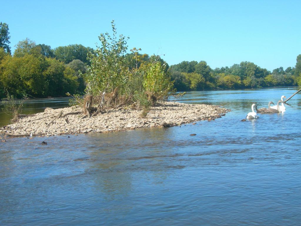 Moulin Des Sandaux Sainte-Foy-la-Grande Eksteriør billede