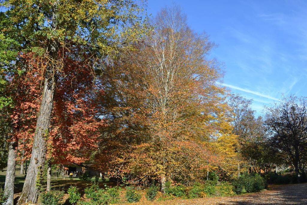 Moulin Des Sandaux Sainte-Foy-la-Grande Eksteriør billede